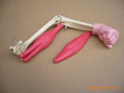 中小學(xué)勞技儀器