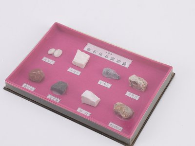 小學科學儀器