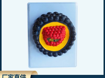 病毒模型 PVC材質(zhì)制作安全放心 中小學(xué)生物教學(xué)儀器模型