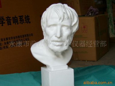 供應寫生教具石膏像批發(fā)定制
